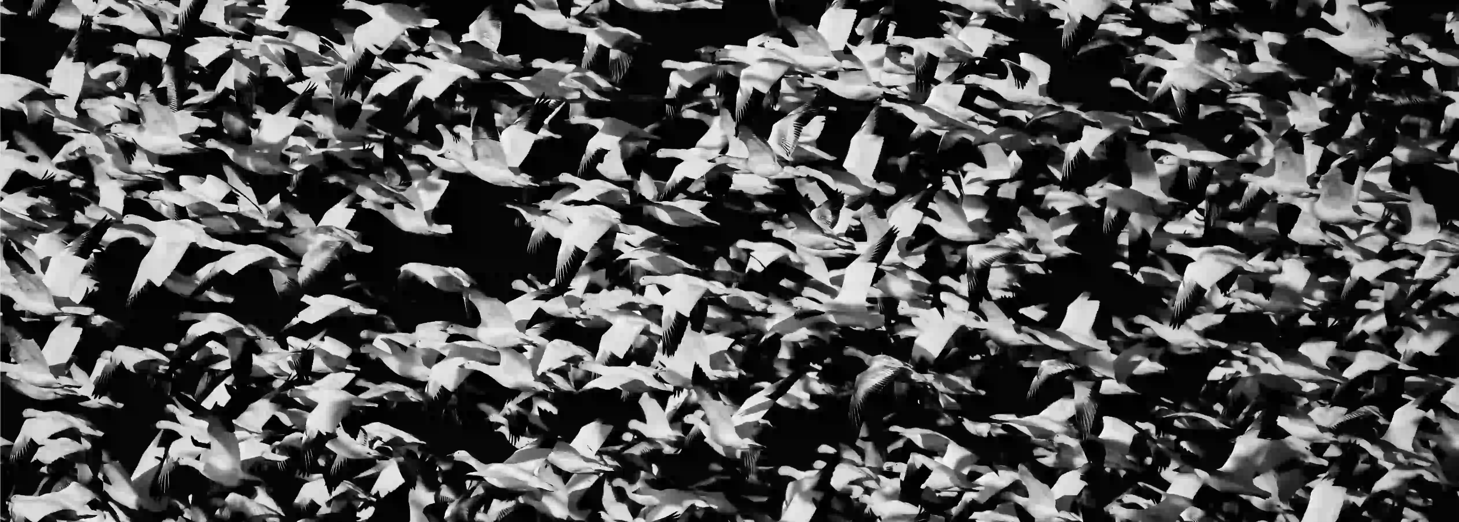 /azure-migrate/mathew-schwartz-DUPITwoxXJE-unsplash.webp /azure-migrate/mathew-schwartz-DUPITwoxXJE-unsplash.webp